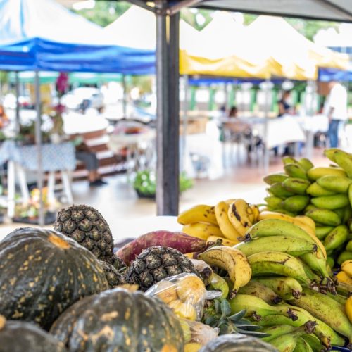 Feira reúne mais de 60 expositores e movimenta a Praça Alencastro nesta terça-feira