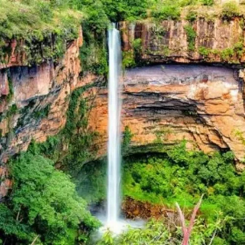 ALMT aprova pacote de projetos para impulsionar turismo e economia em Mato Grosso