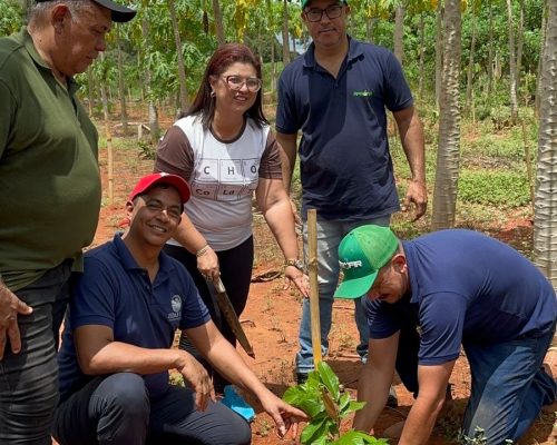 FEDAF-MT leva conhecimento ao campo e fortalece produção de cacau no assentamento Gleba Resistência
