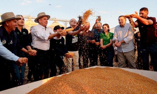 Produção recorde e novos investimentos impulsionam avanço de Mato Grosso