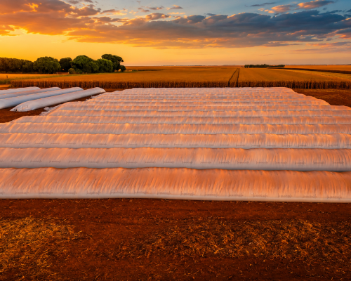 Safra recorde expõe gargalo na armazenagem e impulsiona uso de silo bolsa em Mato Grosso