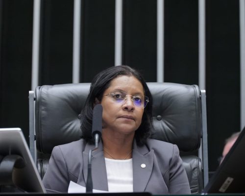 Deputada Federal Gisela Simona