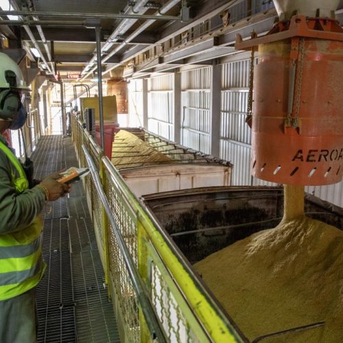 Mato Grosso supera China e Brasil em crescimento econômico e consolida protagonismo nacional