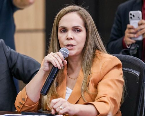 secretária de Estado de Desenvolvimento Econômico, Mayran Beckman