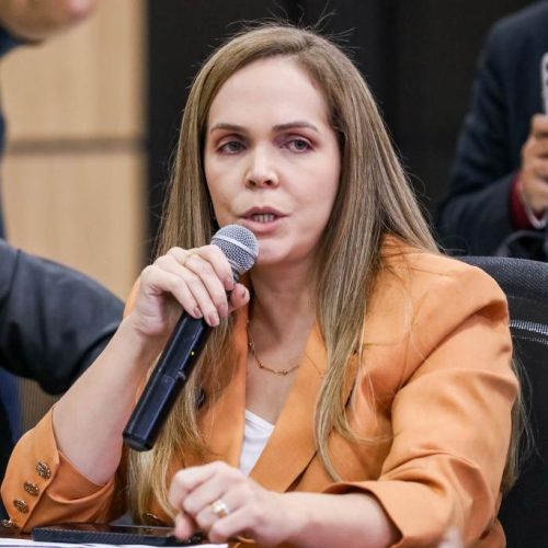 secretária de Estado de Desenvolvimento Econômico, Mayran Beckman