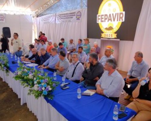 Desenvolvimento do Norte Araguaia é tema de audiência da ALMT em Vila Rica