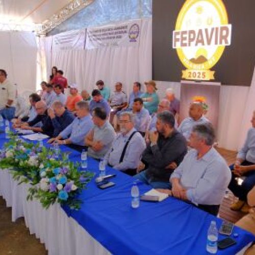 Desenvolvimento do Norte Araguaia é tema de audiência da ALMT em Vila Rica