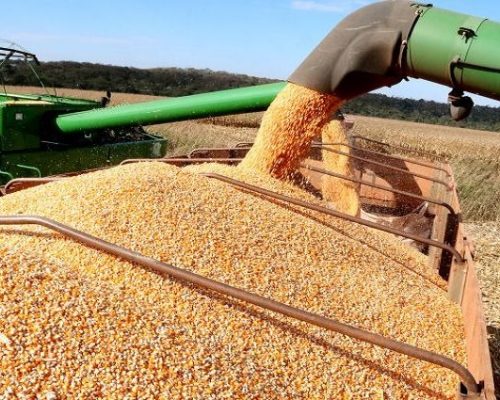 Agro impulsiona empregos e Mato Grosso responde por quase metade das vagas do setor no país