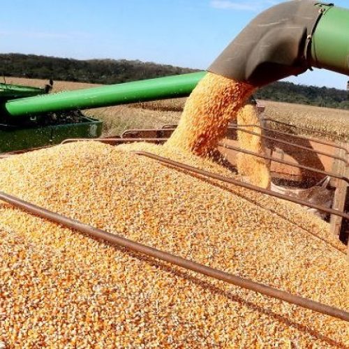 Agro impulsiona empregos e Mato Grosso responde por quase metade das vagas do setor no país