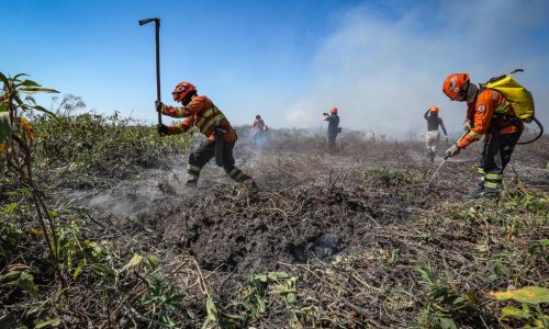 Mato Grosso lança plano estratégico para reforçar combate ao desmatamento e incêndios florestais em 2026