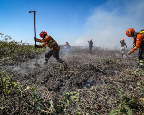 Mato Grosso lança plano estratégico para reforçar combate ao desmatamento e incêndios florestais em 2026