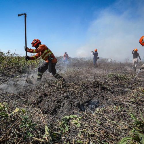 Mato Grosso lança plano estratégico para reforçar combate ao desmatamento e incêndios florestais em 2026