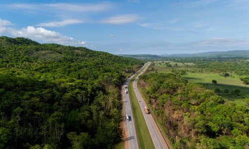 Nova Rota do Oeste reforça ações ambientais e neutraliza emissões na BR-163