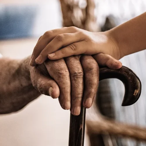 Lei obriga notificação de violência contra idosos em MT e amplia rede de proteção