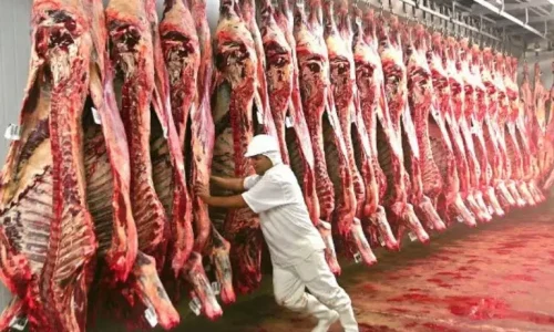 Carne bovina de Mato Grosso conquista mercados e exportações avançam 51% em receita