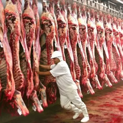 Carne bovina de Mato Grosso conquista mercados e exportações avançam 51% em receita