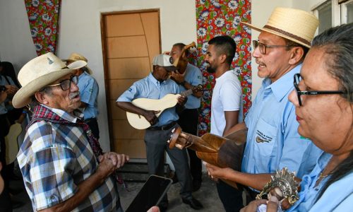 Festival celebra a viola de cocho e fortalece tradições culturais de Mato Grosso em Santo Antônio de Leverger