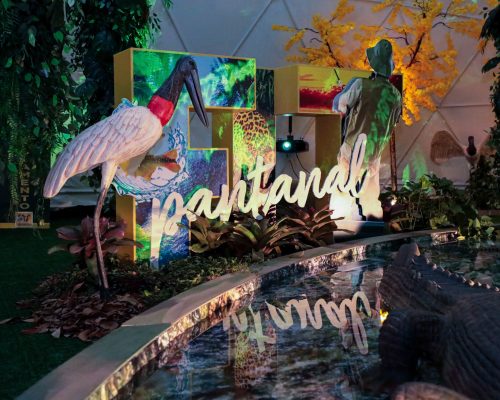 FIT PANTANAL 