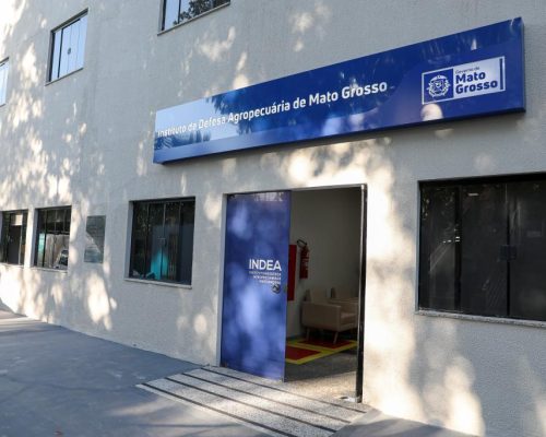 Alívio no Campo: Mato Grosso Sem Casos de Gripe Aviária, Aponta Análise