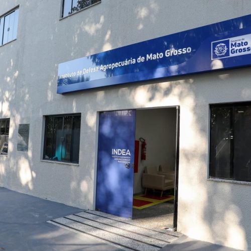 Alívio no Campo: Mato Grosso Sem Casos de Gripe Aviária, Aponta Análise