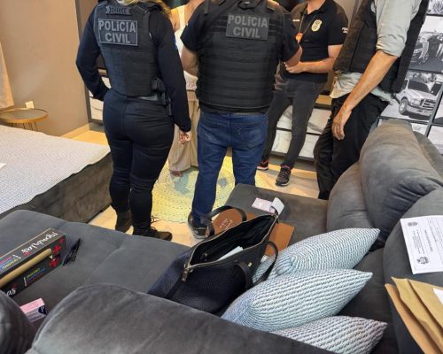 Operação da Polícia Civil Desarticula Quadrilha de Furto de Grãos em Mato Grosso