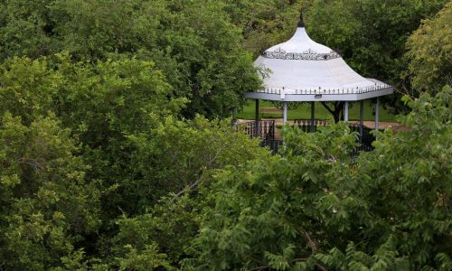 Trilha ecológica no Mãe Bonifácia celebra Dia do Meio Ambiente com imersão na flora mato-grossense
