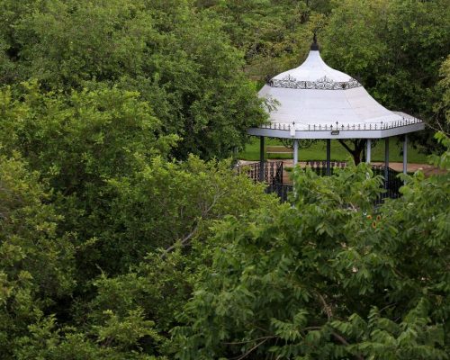 Trilha ecológica no Mãe Bonifácia celebra Dia do Meio Ambiente com imersão na flora mato-grossense