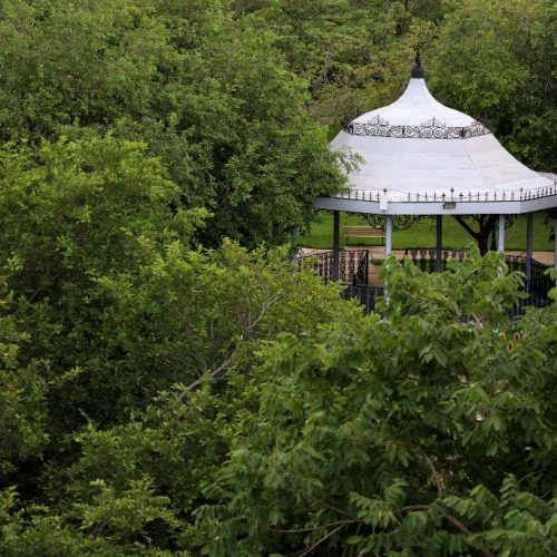 Trilha ecológica no Mãe Bonifácia celebra Dia do Meio Ambiente com imersão na flora mato-grossense