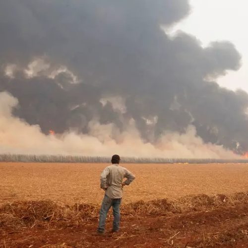 Tarcísio estima prejuízos superiores a R$ 1 bilhão por queimadas em São Paulo