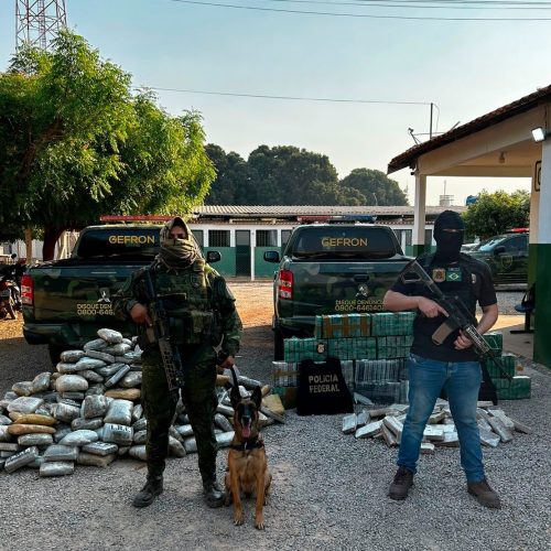 Operação integrada apreende mais de 700 tabletes de droga em caminhão e causa prejuízo de cerca de R$ 7 milhões ao crime