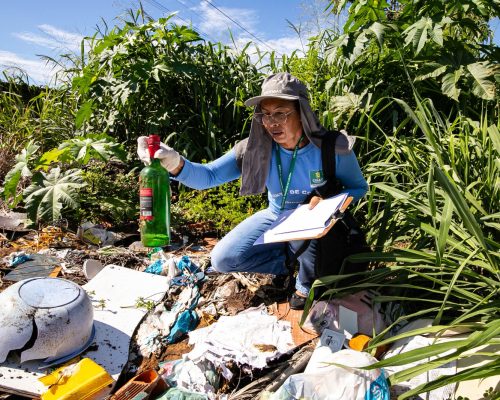 Chuvas continuam e mantém alerta contra a dengue; veja os cuidados