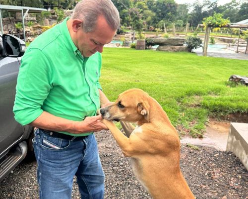 Projeto de Wellington Fagundes ganha força diante do aumento de casos de maus-tratos a animais no país