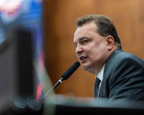 Janaina nega interesse em ser vice de Pivetta, afirma Max Russi