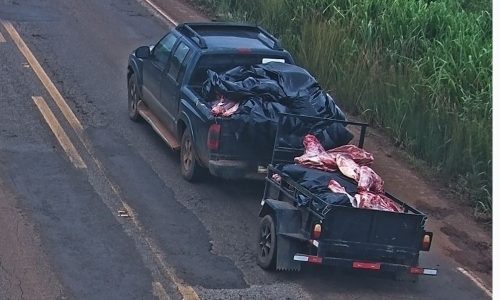 Operação Guerra da Carne identifica 11 suspeitos por saque de carga após tombamento na MT-235