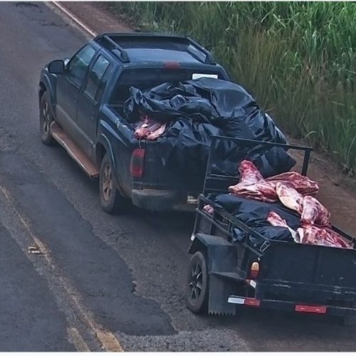 Operação Guerra da Carne identifica 11 suspeitos por saque de carga após tombamento na MT-235