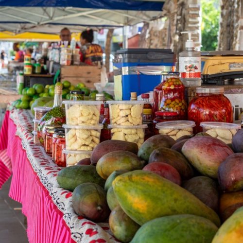 8ª Feira da Agricultura Familiar Produtiva e Solidária movimenta a Praça Alencastro nesta terça