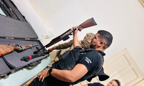Arsenal com 50 armas e 8,8 mil munições é apreendido em investigação de violência doméstica em MT