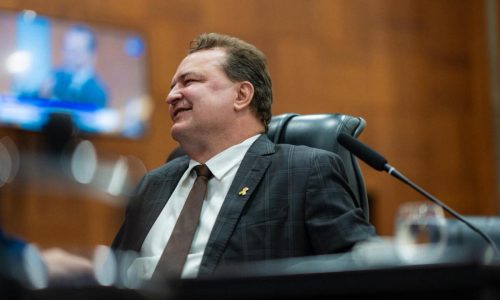 Deputado Estadual - Max Russi