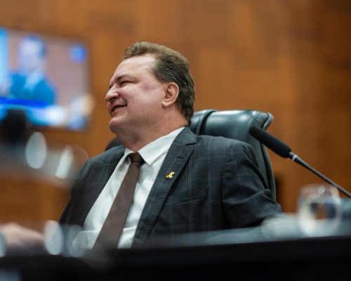 Deputado Estadual - Max Russi