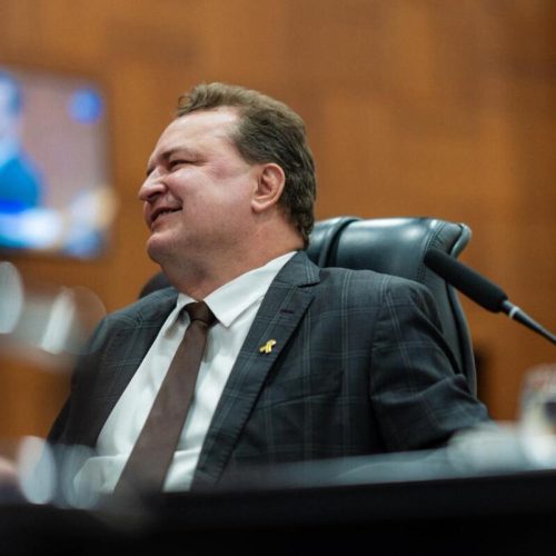 Deputado Estadual - Max Russi