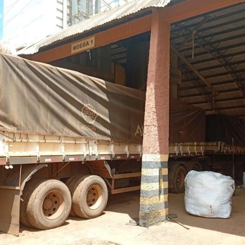 Jovem é preso ao tentar carregar caminhão com soja usando CNH falsa em fazenda de MT