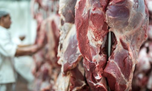 União Europeia paga o melhor preço pela carne de Mato Grosso no mercado internacional