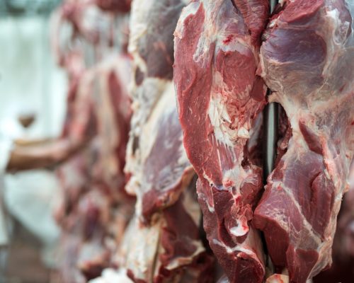 União Europeia paga o melhor preço pela carne de Mato Grosso no mercado internacional