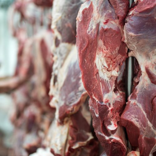 União Europeia paga o melhor preço pela carne de Mato Grosso no mercado internacional