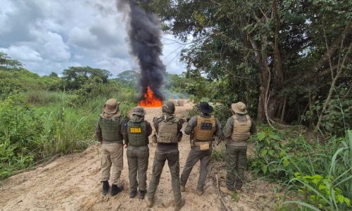 Garimpo ilegal é alvo de operação e sofre prejuízo de R$ 3,5 milhões no norte de MT