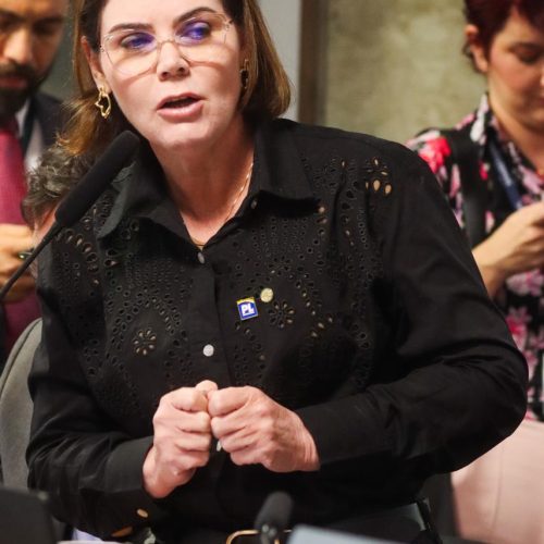 Coronel Fernanda celebra indiciamento de “Lulinha”, Vorcaro e Careca em relatório da CPMI