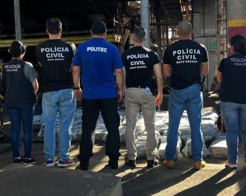 Mais de uma tonelada de “supermaconha” é incinerada em operação no interior de Mato Grosso