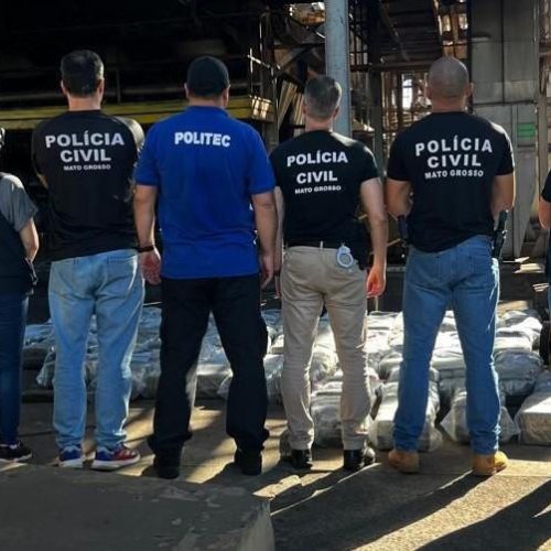 Mais de uma tonelada de “supermaconha” é incinerada em operação no interior de Mato Grosso