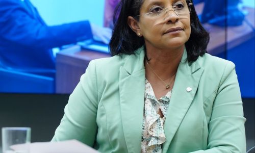 ‘Não é política, é violência’, diz Gisela ao cobrar que pedido de cassação de vereador entre em pauta
