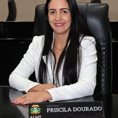 Com trajetória consolidada e presença constante, ex-deputada se firma como uma das principais apostas para 2026